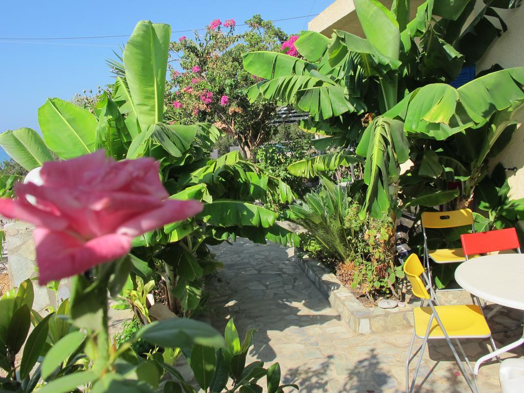 Appartement Porto Kastri *